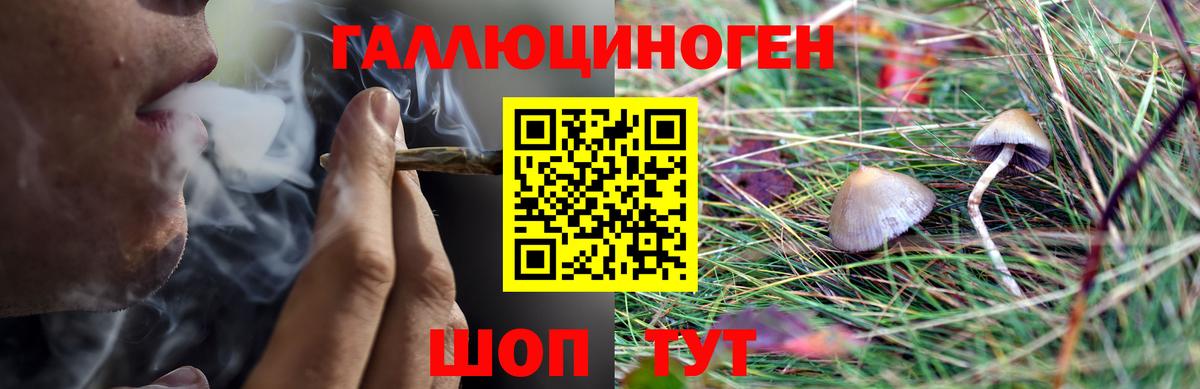 Рязань  Галлюциногенные грибы Psilocybine cubensis  Псилоцибиновые грибы ЛСД  Вход с VPN 