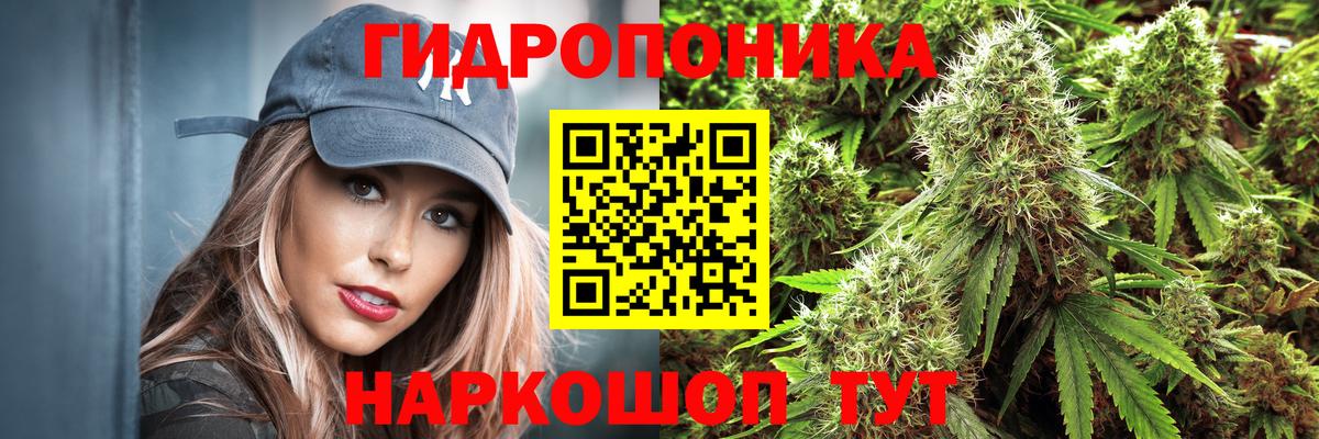 Марихуана Ganja  Вход с VPN  Рязань  Бошки Шишки VHQ 